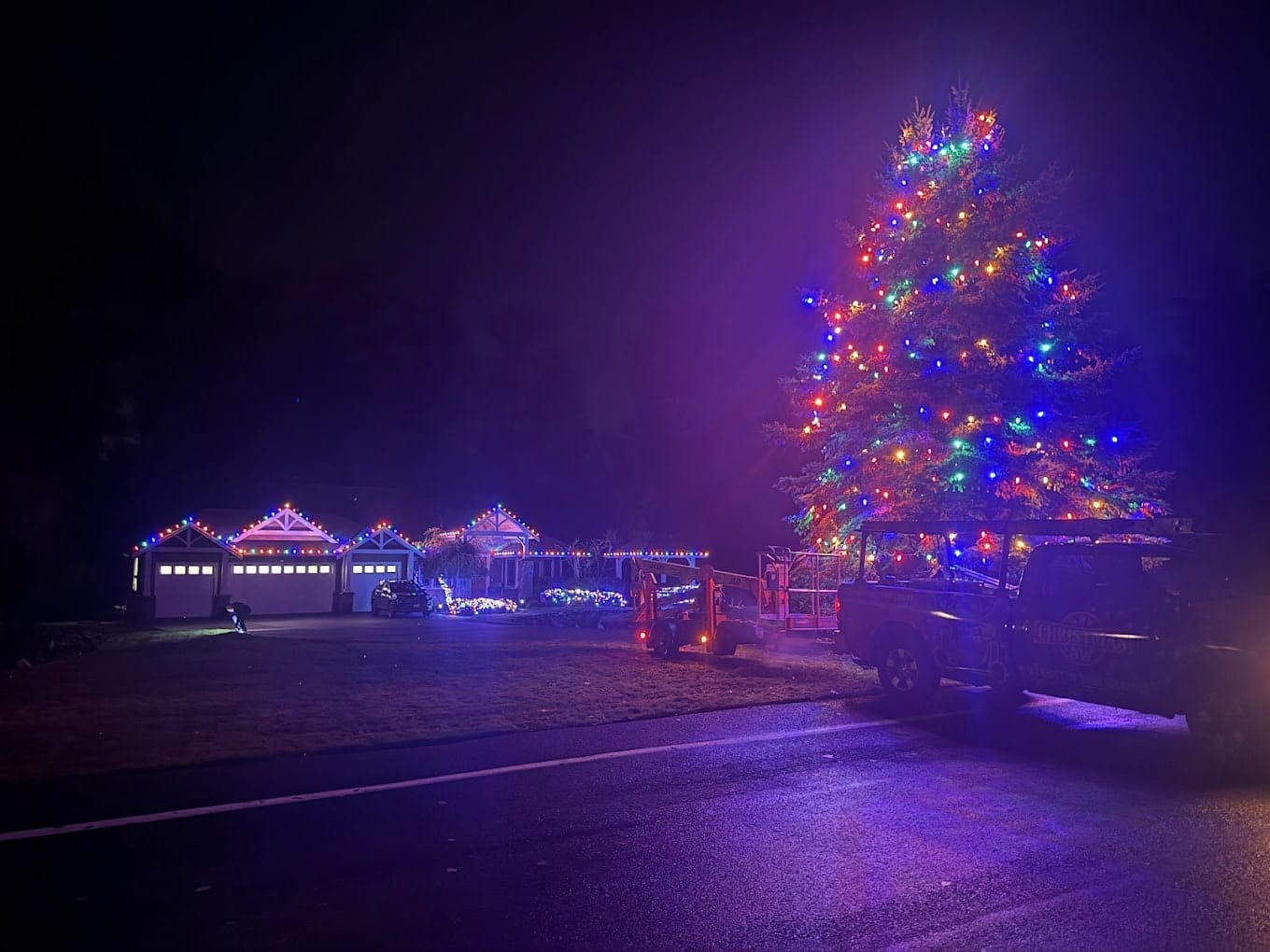 Wrapped Trees