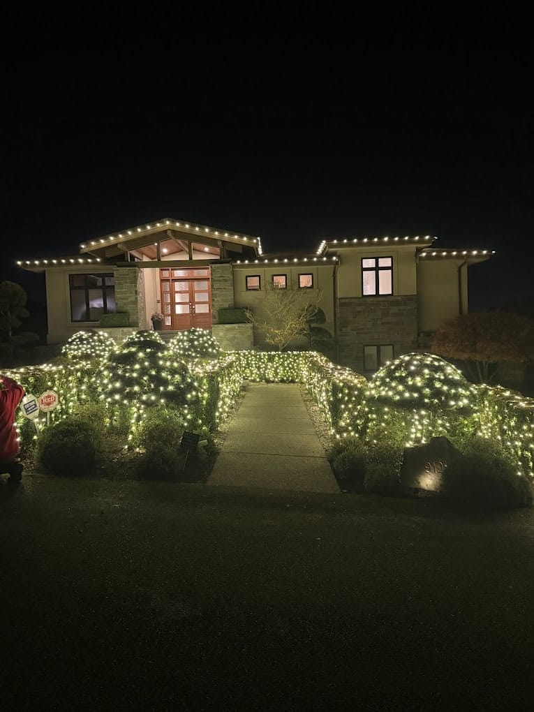 Warm White Bushes