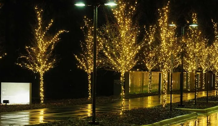 Commercial Christmas Lighting - Lit Walkway