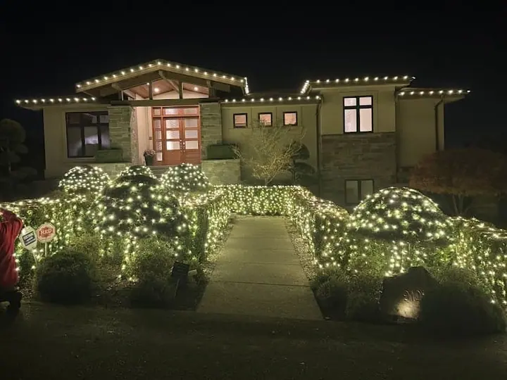 Warm White Bushes